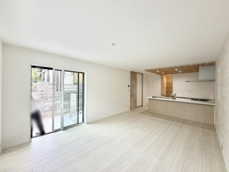 ���̑����� ����