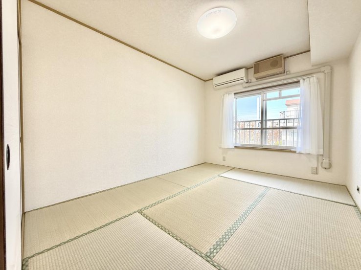 ���̑����� ����