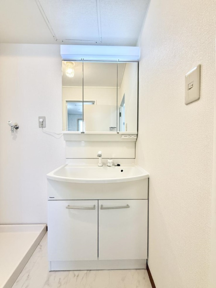 ���ʑ�E���ʏ� �������������Ő������̂�����ʏ�