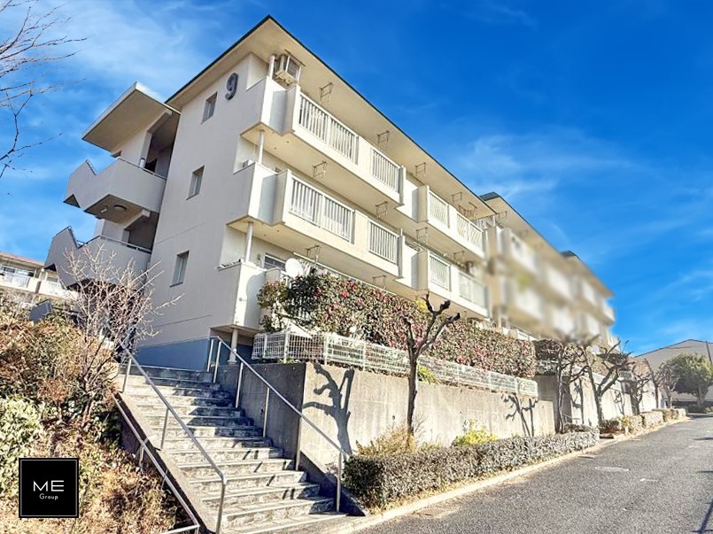 ���n�O�ώʐ^ �O�ρ��V�����Z�܂��A�X�̐V�������i