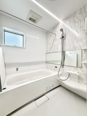 ���� ����