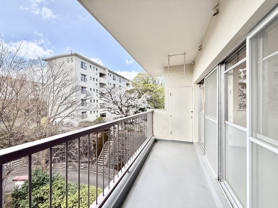 �o���R�j�[ ������ ��𒭂߂Ȃ���A�ق��ƈꑧ������ʂȋ��