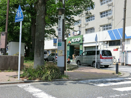 ӊ X[p[ 300m AR[v X