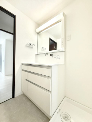 ���ʑ�E���ʏ� �������������Ő������̂�����ʏ�