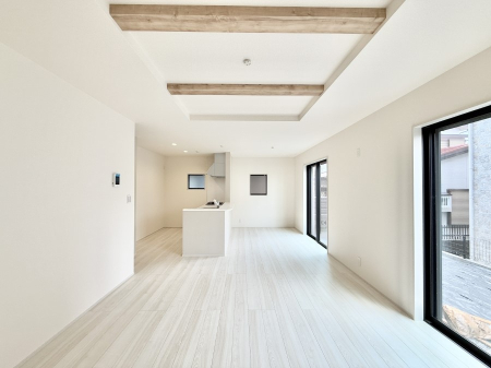 ���̑����� �������������������A���S�n�̂������r���O