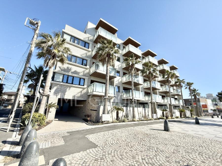 ���n�O�ώʐ^ �O�ρ��V������炵���n�܂�ꏊ�ŁA�Ƒ����J��[�߂�