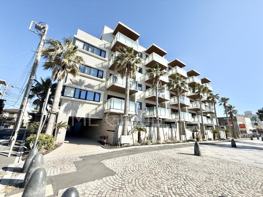 ���n�O�ώʐ^ �O�ρ��V������炵���n�܂�ꏊ�ŁA�Ƒ����J��[�߂�