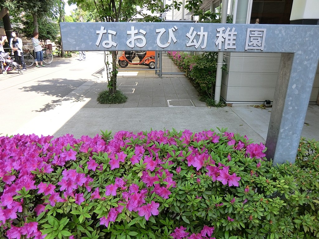 ���ӊ� �c�t���E�ۈ牀 850m �Ȃ��їc�t��