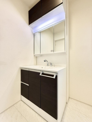 ���ʑ�E���ʏ� ���������̏������X���[�Y�ɂł���L���ł�