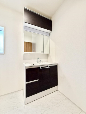 ���ʑ�E���ʏ� ���������̏������X���[�Y�ɂł���L���ł�