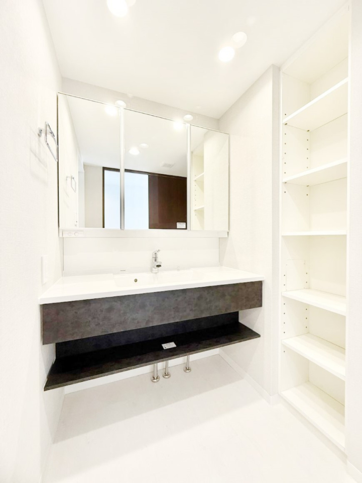 ���ʑ�E���ʏ� ���������̏������X���[�Y�ɂł���L���ł�