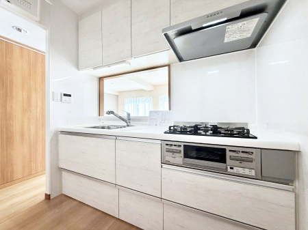 �L�b�`�� �������L���C�ɕЕt���A�g���₷���L�b�`��