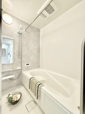 ���� �������������A������芰����o�X���[��