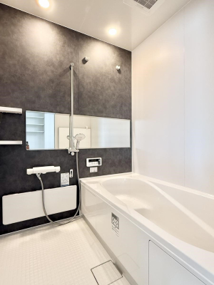 ���� �����������������F�����̕ǖʁA������芰����o�X���[��