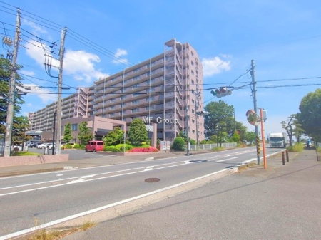 ���n�O�ώʐ^ �O�ρ��D��ȃ��C�����A�������������Ă܂�