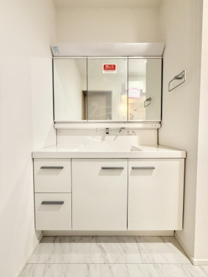 ���ʑ�E���ʏ� ���������̏������X���[�Y�ɂł���L���ł�