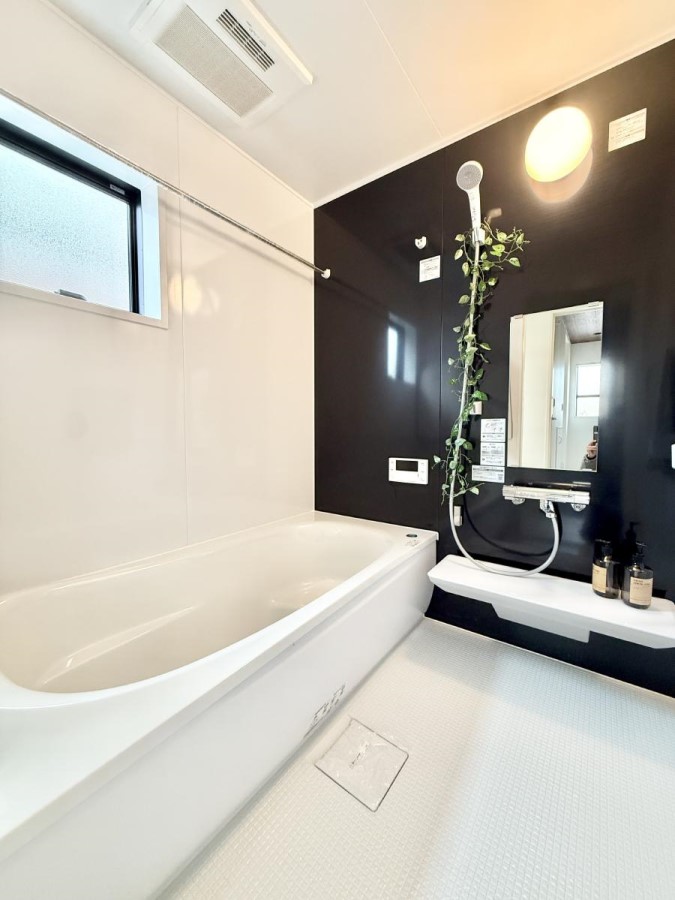 ���� �����������������F�����̕ǖʁA������芰����o�X���[��