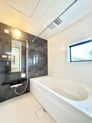 ���� �����������������F�����̕ǖʁA������芰����o�X���[��