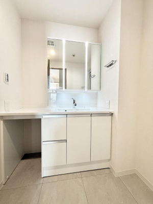 ���ʑ�E���ʏ� �������������Ő������̂�����ʏ�