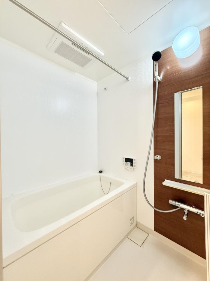 ���� �����������������F�����̕ǖʁA������芰����o�X���[��