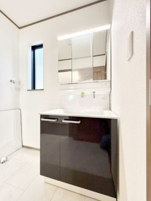 ���ʑ�E���ʏ� ���������̏������X���[�Y�ɂł���L���ł�