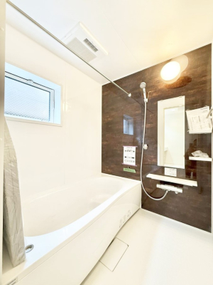 ���� �����������������F�����̕ǖʁA������芰����o�X���[��