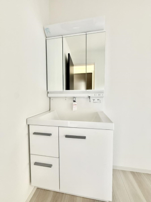 ���ʑ�E���ʏ� ���������̏������X���[�Y�ɂł���L���ł�