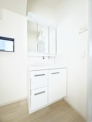 ���ʑ�E���ʏ� ���������̏������X���[�Y�ɂł���L���ł�