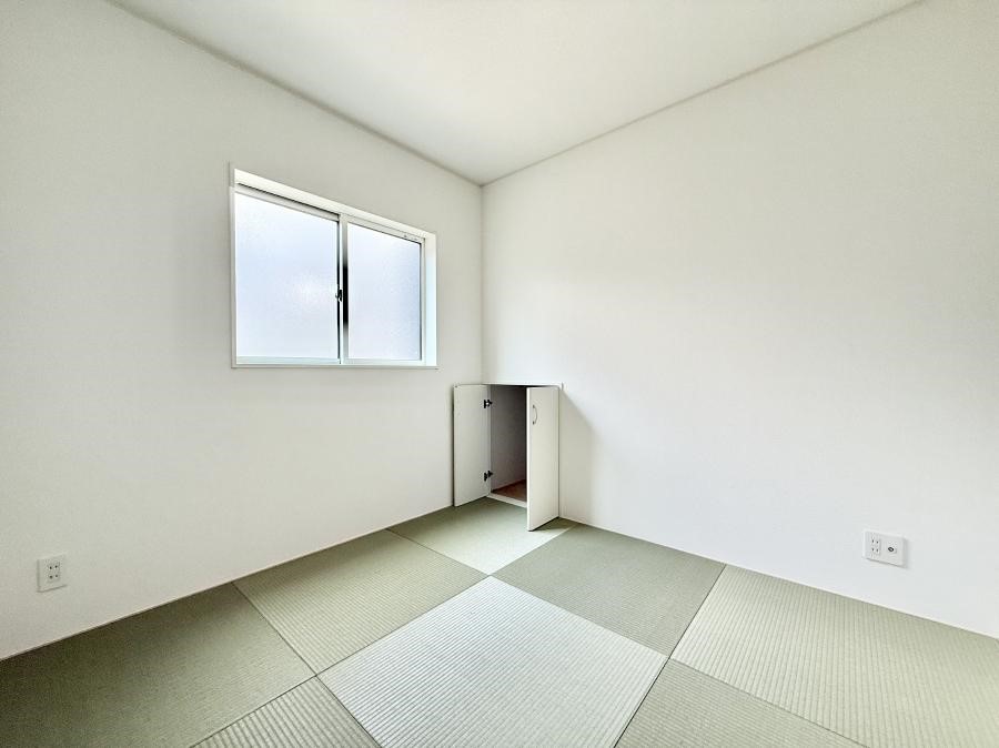 ���̑����� ����