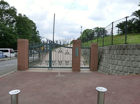 ���ӊ� �c�t���E�ۈ牀 1100m ��a�݂ǂ肪�u�c�t��