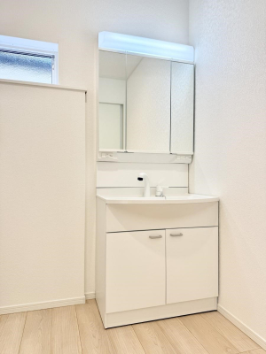 ���ʑ�E���ʏ� ���������̏������X���[�Y�ɂł���L���ł�