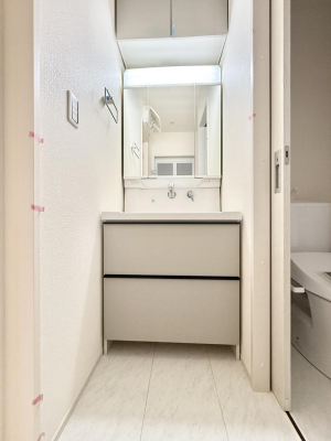 ���ʑ�E���ʏ� ���������̏������X���[�Y�ɂł���L���ł�