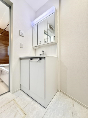 ���ʑ�E���ʏ� ���������̏������X���[�Y�ɂł���L���ł�