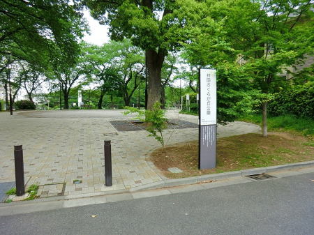 ���ӊ� ���� 500m ��c�����炪�u����