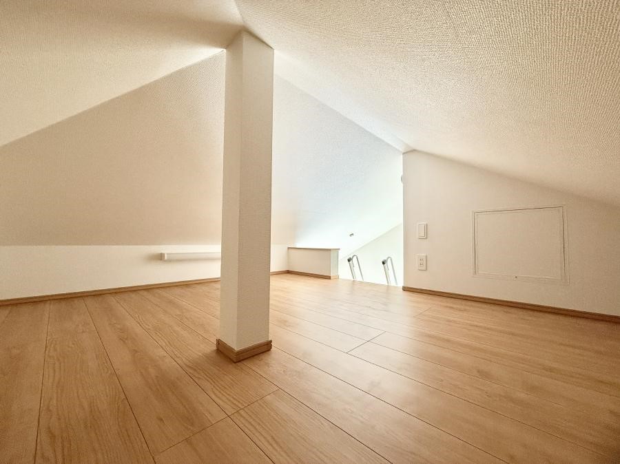 ���̑� ����