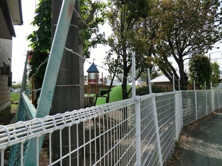 ���ӊ� �c�t���E�ۈ牀 1000m ���؂�����c�t��