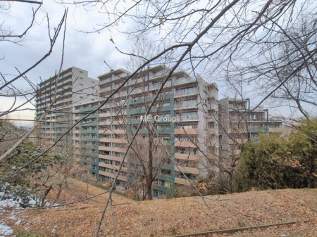 ���n�O�ώʐ^ �O�ρ��Ƒ��̖�����D������ݍ��ސV�����Z�܂�