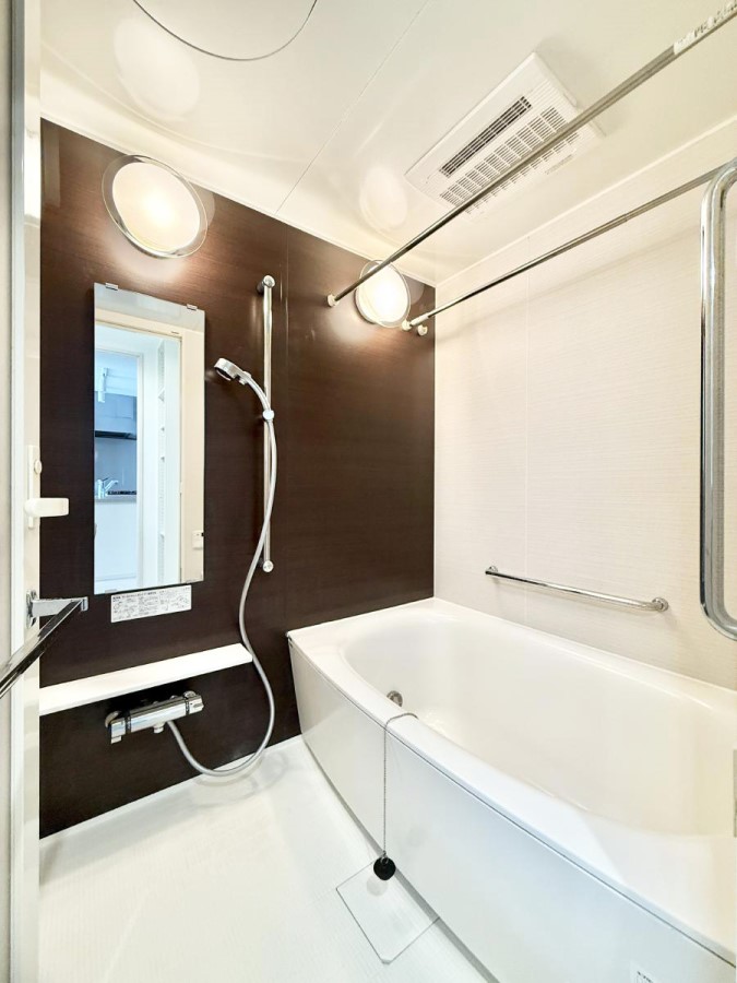 ���� �����������������F�����̕ǖʁA������芰����o�X���[��