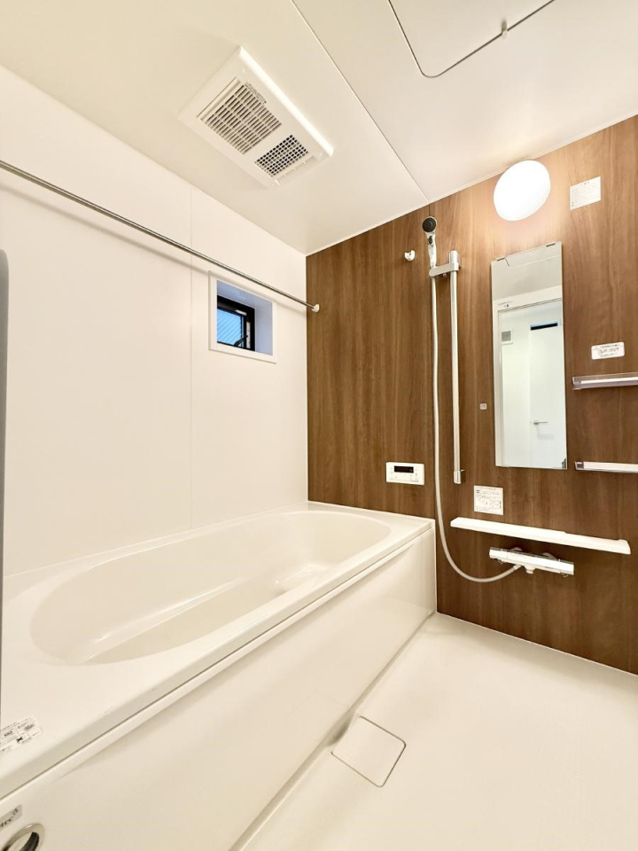 ���� �����������������F�����̕ǖʁA������芰����o�X���[��