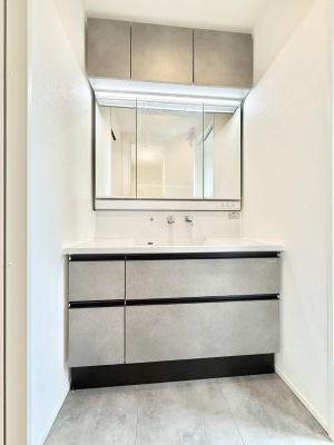 ���ʑ�E���ʏ� ���������̏������X���[�Y�ɂł���L���ł�