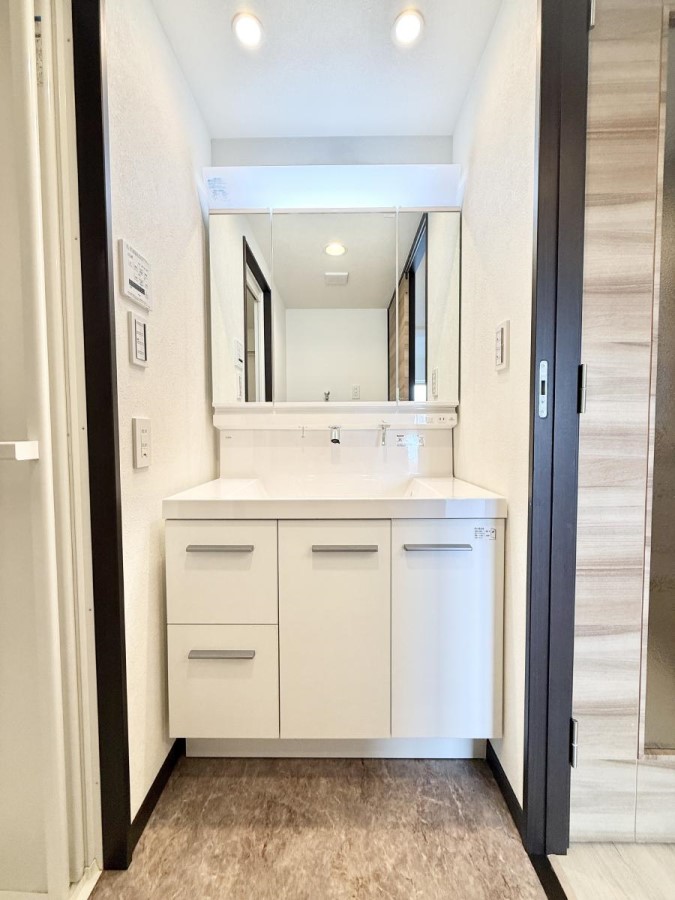 ���ʑ�E���ʏ� ���������̏������X���[�Y�ɂł���L���ł�