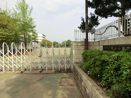 ���ӊ� ���w�Z 2000m ���؎s���юR���w�Z