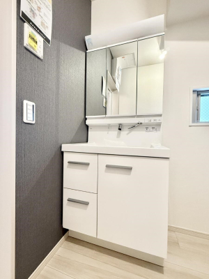 ���ʑ�E���ʏ� ���������̏������X���[�Y�ɂł���L���ł�