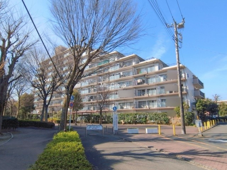 ���n�O�ώʐ^ �O�ρ��Ƒ��݂�Ȃ��Ί�ŉ߂�����A���S���̂���Z�܂�