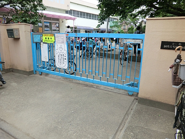 ���ӊ� �c�t���E�ۈ牀 800m �����΂ȗc�t��