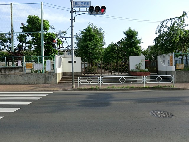 ���ӊ� ���w�Z 1500m ����s�������w�Z