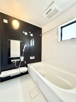 ���� �����������������F�����̕ǖʁA������芰����o�X���[��