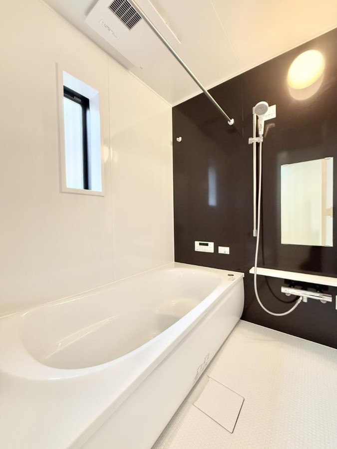 ���� �����������������F�����̕ǖʁA������芰����o�X���[��