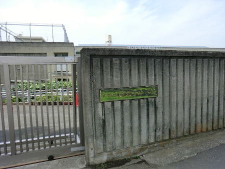 ���ӊ� ���w�Z 400m ���s�����ێq���w�Z