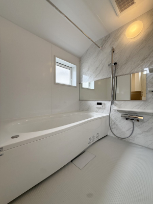 ���� �����������������F�����̕ǖʁA������芰����o�X���[��